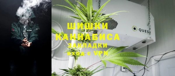 дурь Бронницы