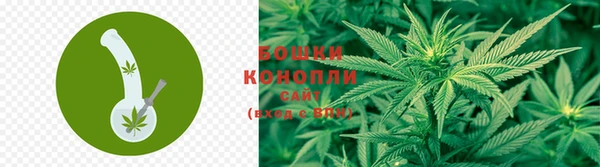 дурь Бронницы