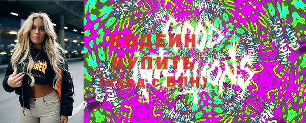 ECSTASY Бородино