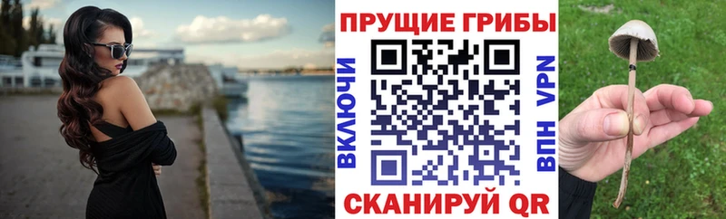 hydra ONION  купить  цена  Буй  Галлюциногенные грибы прущие грибы 