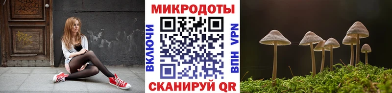 Галлюциногенные грибы прущие грибы Буй